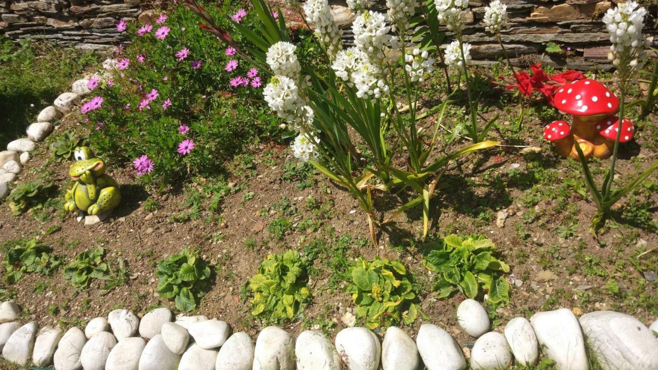 Carballo Blanco Holiday home *